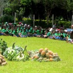 Ulga Primary School to lead Health-Promoting School Program in WHP