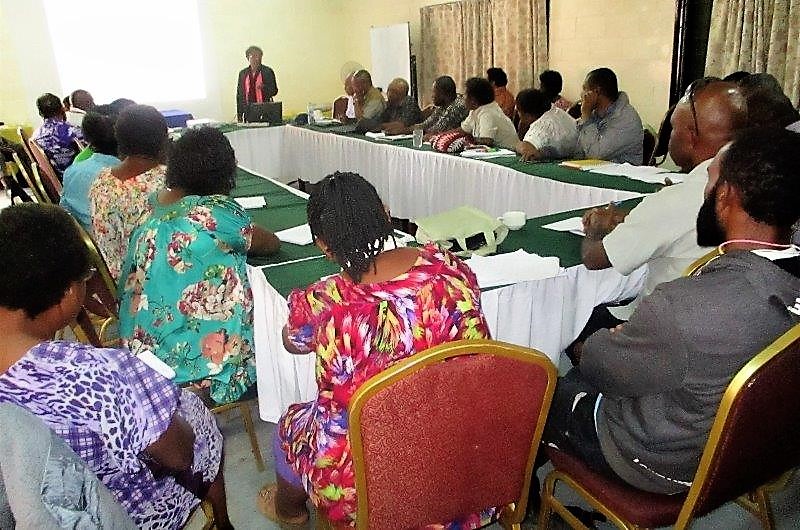 Highlands Regional Deputy Chief Paediatrician, Dr Magdalyne Kaupa making her presentation as the participants listen.